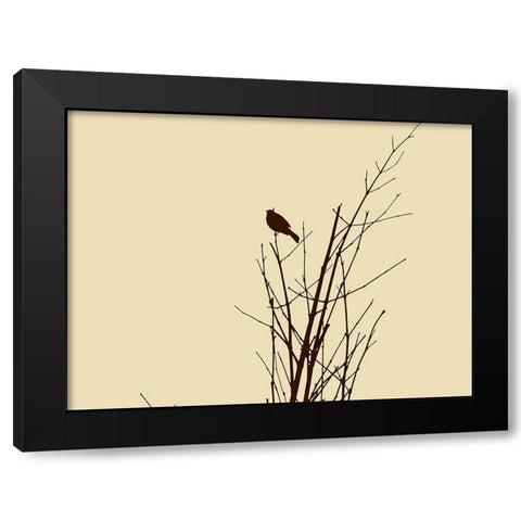 Bird Silhouette: Brown/Ivory Black Modern Wood Framed Art Print by Popcorn
