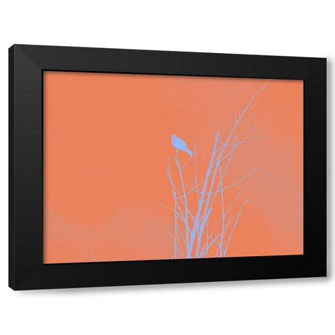Bird Silhouette I Black Modern Wood Framed Art Print with Double Matting by Popcorn