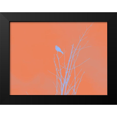 Bird Silhouette I Black Modern Wood Framed Art Print by Popcorn
