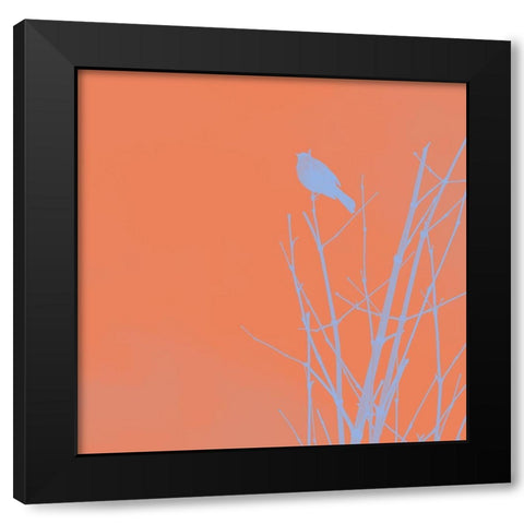 Bird Silhouette II Black Modern Wood Framed Art Print with Double Matting by Popcorn