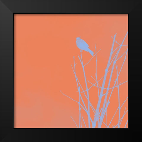 Bird Silhouette II Black Modern Wood Framed Art Print by Popcorn