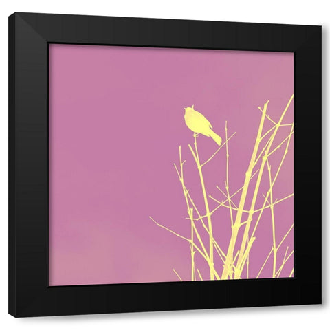 Bird Silhouette III Black Modern Wood Framed Art Print by Popcorn