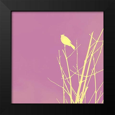 Bird Silhouette III Black Modern Wood Framed Art Print by Popcorn