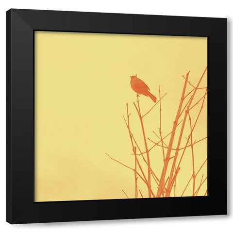 Bird Silhouette IV Black Modern Wood Framed Art Print by Popcorn
