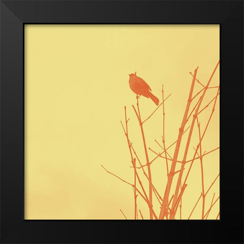 Bird Silhouette IV Black Modern Wood Framed Art Print by Popcorn