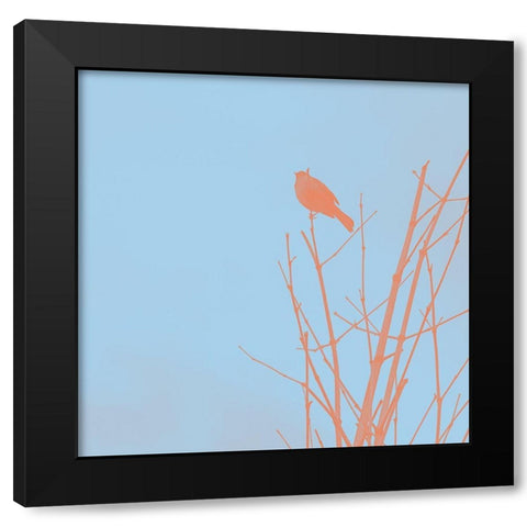 Bird Silhouette V Black Modern Wood Framed Art Print with Double Matting by Popcorn