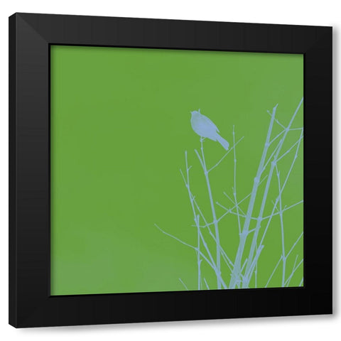 Bird Silhouette VI Black Modern Wood Framed Art Print with Double Matting by Popcorn