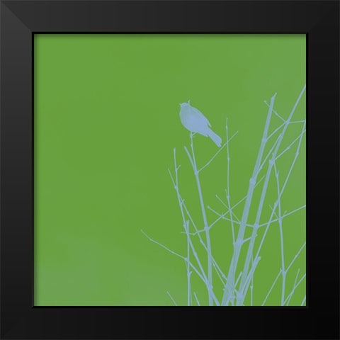 Bird Silhouette VI Black Modern Wood Framed Art Print by Popcorn