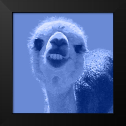 Alpaca Blue Black Modern Wood Framed Art Print by Popcorn
