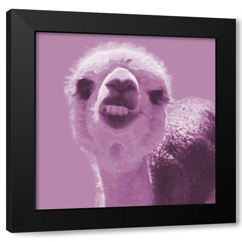 Alpaca Pink Black Modern Wood Framed Art Print with Double Matting by Popcorn