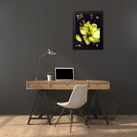 Moody White Flower II Black Modern Wood Framed Art Print by Popcorn