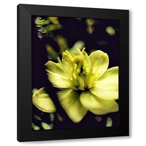 Moody White Flower II Black Modern Wood Framed Art Print with Double Matting by Popcorn
