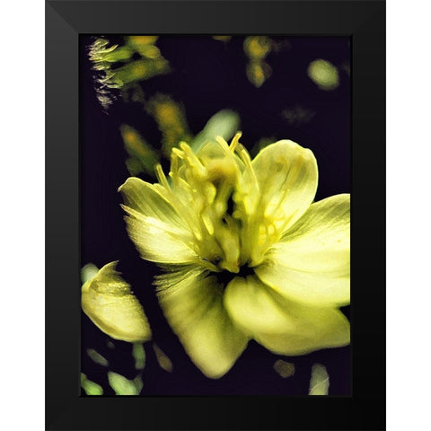 Moody White Flower II Black Modern Wood Framed Art Print by Popcorn