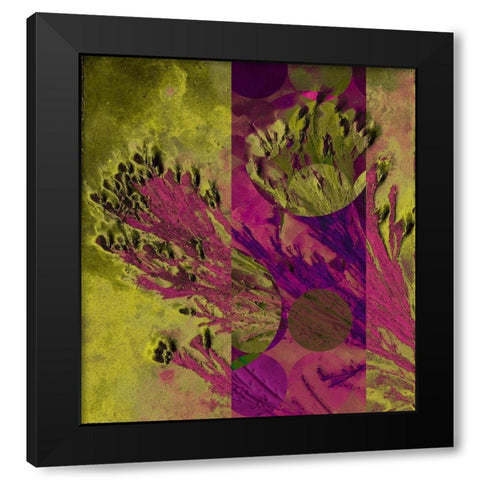 Desert Broom Abstract  Black Modern Wood Framed Art Print by Tenoever, William