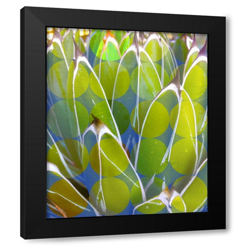 Moods Agave III Black Modern Wood Framed Art Print by Tenoever, William