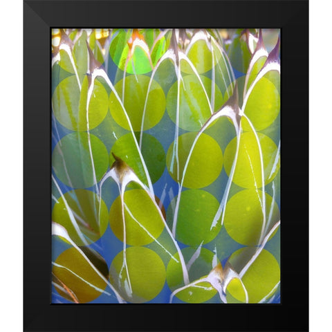 Moods Agave III Black Modern Wood Framed Art Print by Tenoever, William
