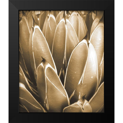 Agave Sepia Black Modern Wood Framed Art Print by Tenoever, William