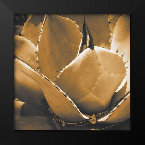 Mescal Agave: Sepia Black Modern Wood Framed Art Print by Tenoever, William