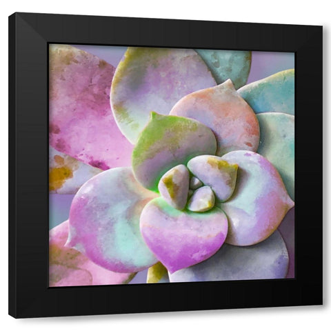 Moods Succulent I Black Modern Wood Framed Art Print by Tenoever, William