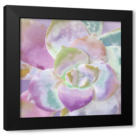 Moods Succulent II Black Modern Wood Framed Art Print with Double Matting by Tenoever, William