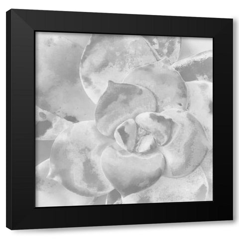 Moods Succulent V Black Modern Wood Framed Art Print by Tenoever, William