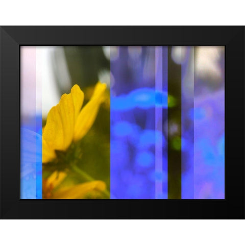 Stripes: Brittle Bush Black Modern Wood Framed Art Print by Tenoever, William