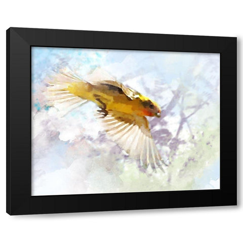 Oriole Black Modern Wood Framed Art Print with Double Matting by Tenoever, William