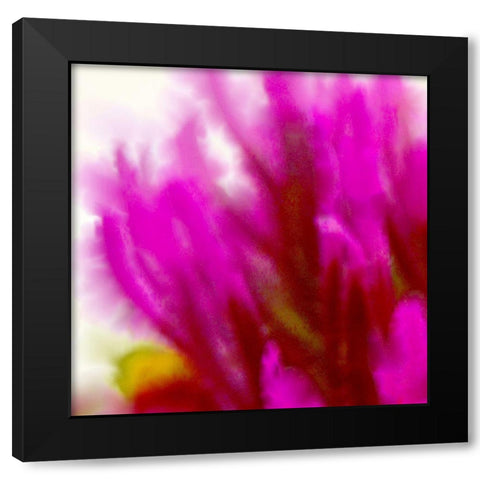 Owl Clover in Bloom 3 Black Modern Wood Framed Art Print with Double Matting by Tenoever, William