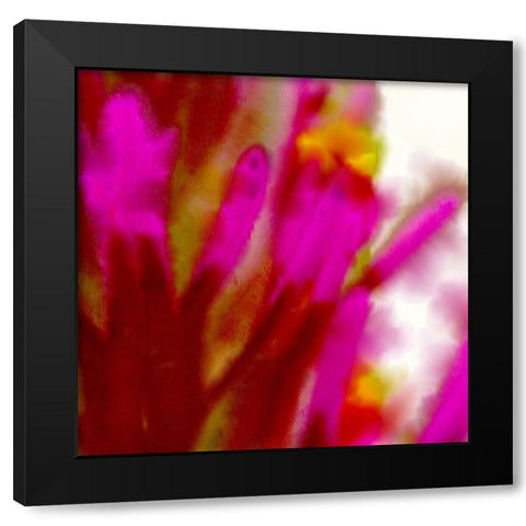 Owl Clover in Bloom 5 Black Modern Wood Framed Art Print with Double Matting by Tenoever, William