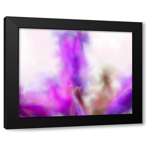 Blue Dicks W/C Bloom 1 Black Modern Wood Framed Art Print by Tenoever, William