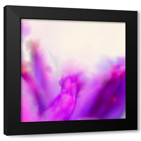 Blue Dicks W/C Bloom 5 Black Modern Wood Framed Art Print by Tenoever, William