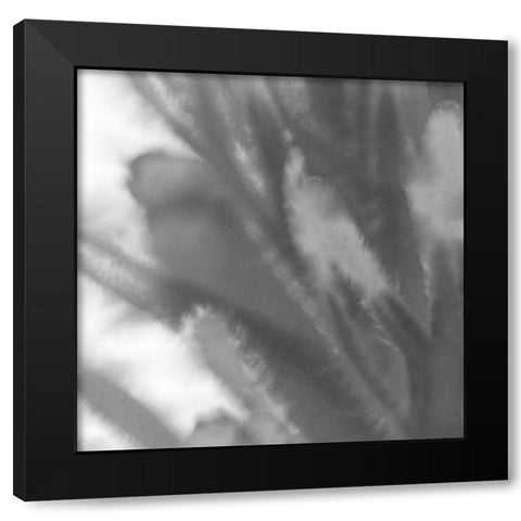 Grey Flora 2 Black Modern Wood Framed Art Print by Tenoever, William
