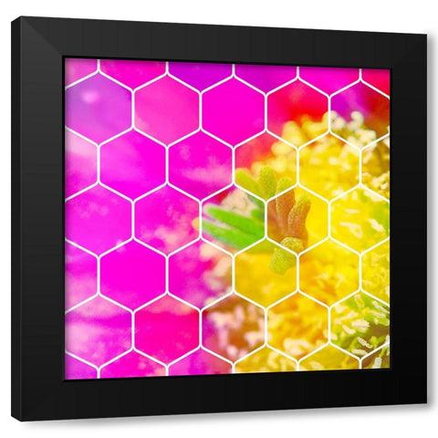 HexiFlora 3 Black Modern Wood Framed Art Print by Tenoever, William