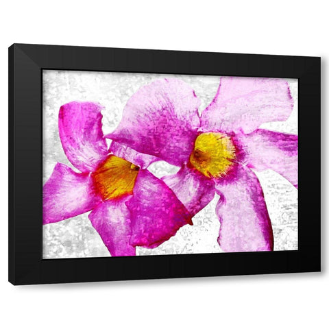 Flora Obscura 1 Black Modern Wood Framed Art Print by Tenoever, William