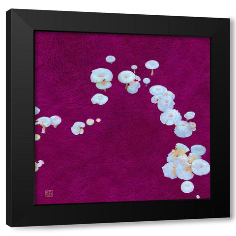 White Mushrooms Ver1 Black Modern Wood Framed Art Print with Double Matting by Tenoever, William
