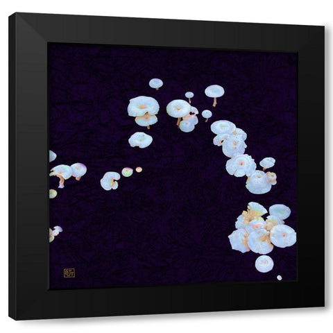 White Mushrooms Ver2 Black Modern Wood Framed Art Print by Tenoever, William