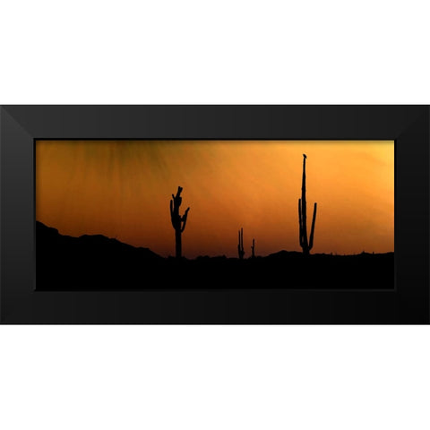 CopperSkies Black Modern Wood Framed Art Print by Tenoever, William