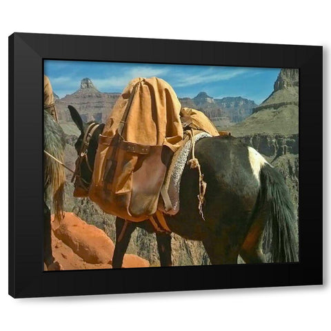 Grand Canyon 1: Mule Train Black Modern Wood Framed Art Print with Double Matting by Popcorn