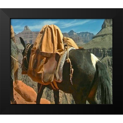Grand Canyon 1: Mule Train Black Modern Wood Framed Art Print by Popcorn