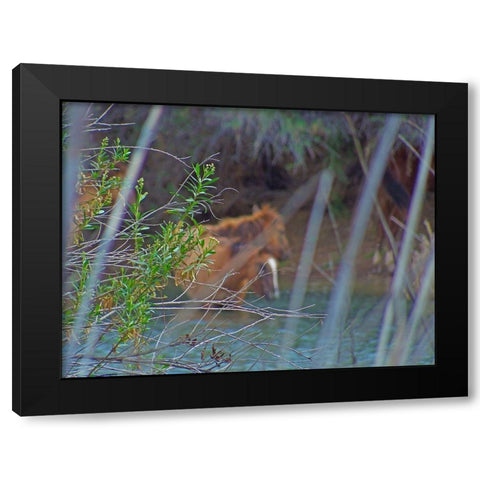 Wild Horses I Black Modern Wood Framed Art Print by Popcorn