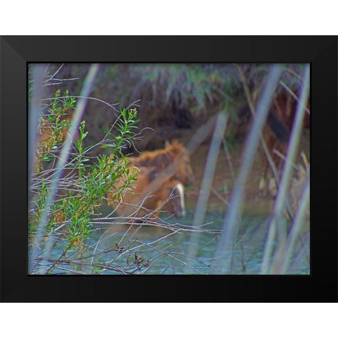 Wild Horses I Black Modern Wood Framed Art Print by Popcorn