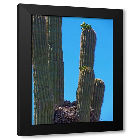 Great Horned Owl III Black Modern Wood Framed Art Print by Popcorn