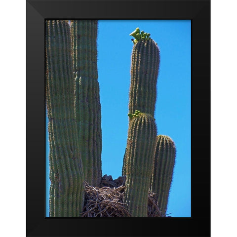 Great Horned Owl III Black Modern Wood Framed Art Print by Popcorn