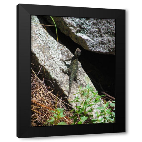Lizards III Black Modern Wood Framed Art Print by Popcorn