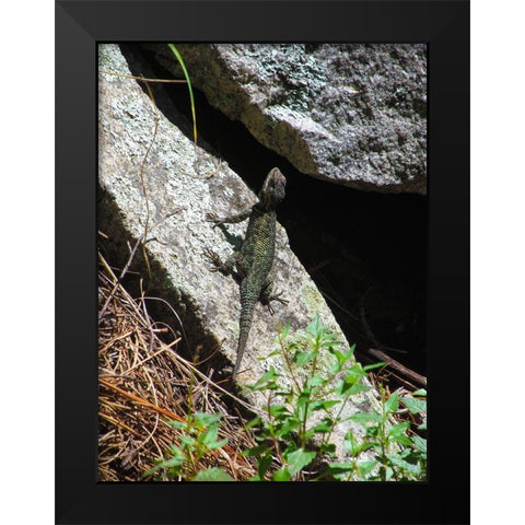 Lizards III Black Modern Wood Framed Art Print by Popcorn