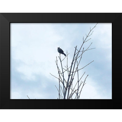 Bird Silhouette: Original Black Modern Wood Framed Art Print by Popcorn
