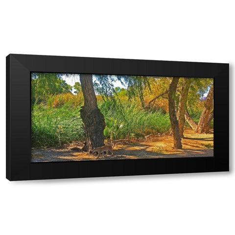 Bobcat II: Composite Black Modern Wood Framed Art Print by Popcorn