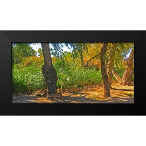 Bobcat III: Vector Black Modern Wood Framed Art Print by Popcorn