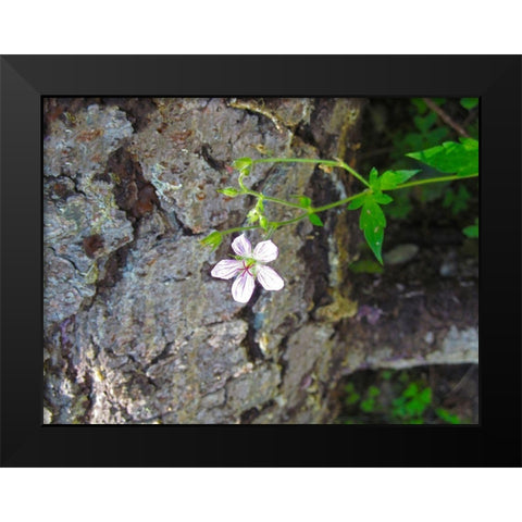 Purple Flower Black Modern Wood Framed Art Print by Popcorn