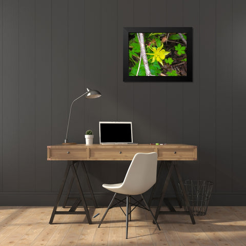 Columbine Black Modern Wood Framed Art Print by Popcorn